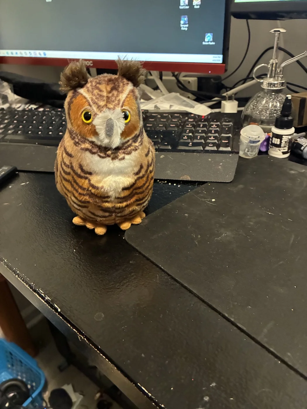 Original photo of Pigwigden the owl stuffie